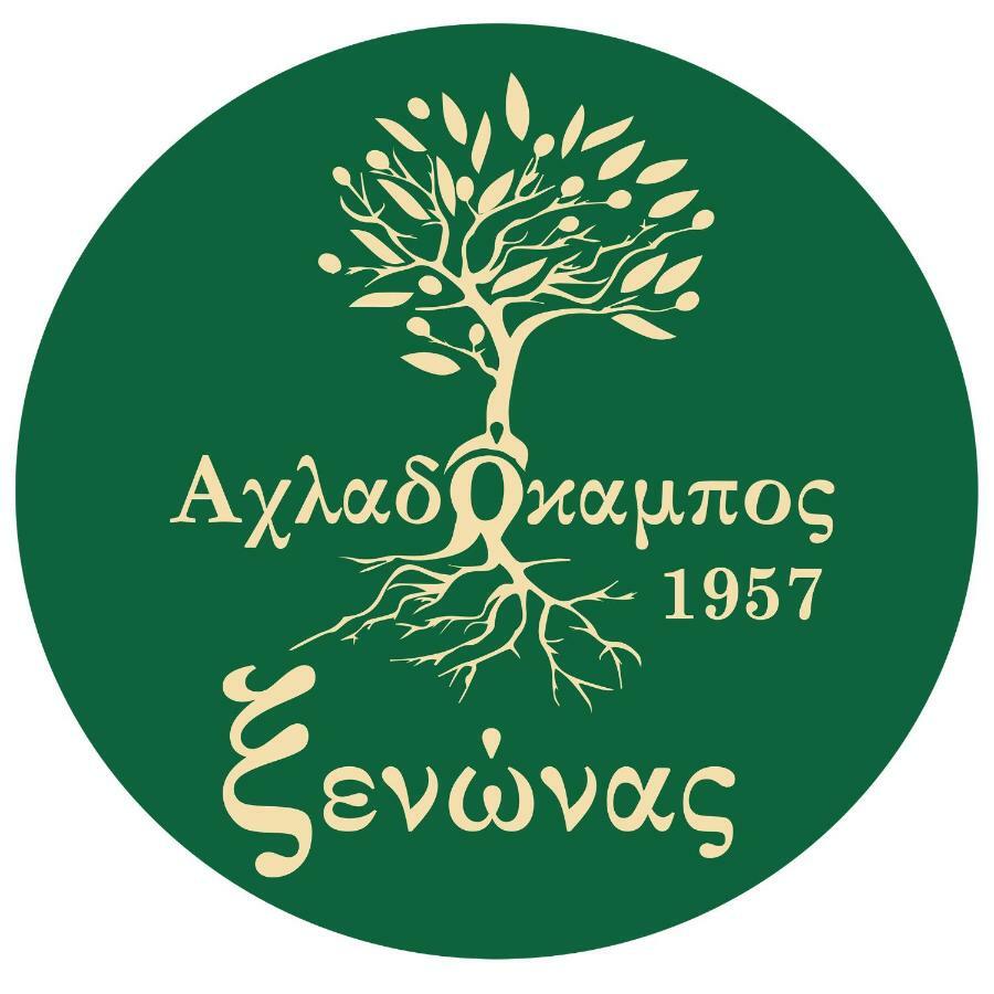 Xenon Achladokampos Hotel Kültér fotó